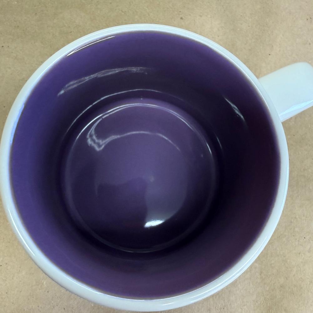 Starbucks You Are Here Series Disney Parks EPCOT Mug