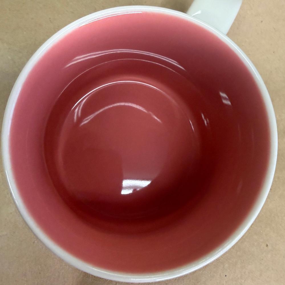 Starbucks Been There Series Orlando Mug-2019