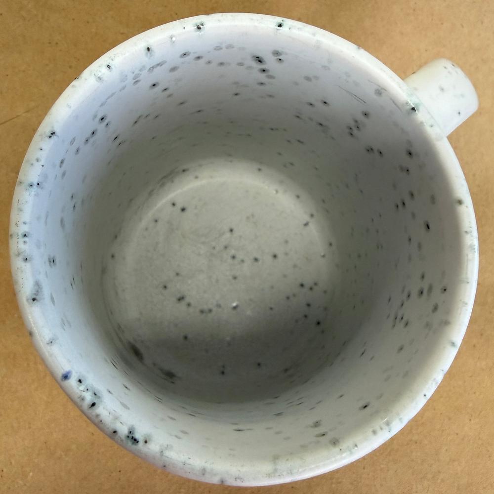 Caribou Coffee Find Your Wild Speckled Mug-2017