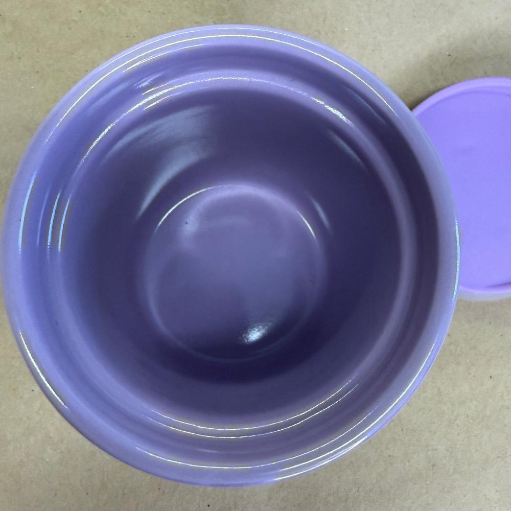 Starbucks Iridescent Pleat in Purple and Green Tumbler-2022