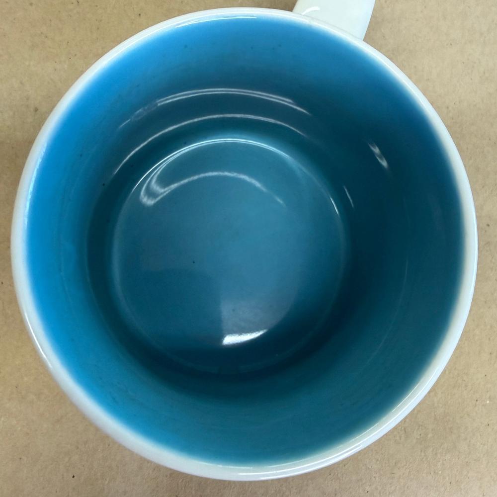 Starbucks You Are Here Series North Carolina Mug-2015