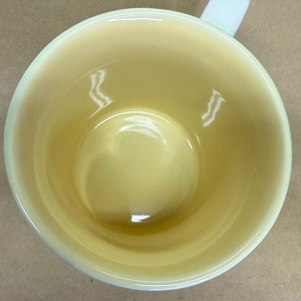 Starbucks Hawaii Hibiscus Mug-2010