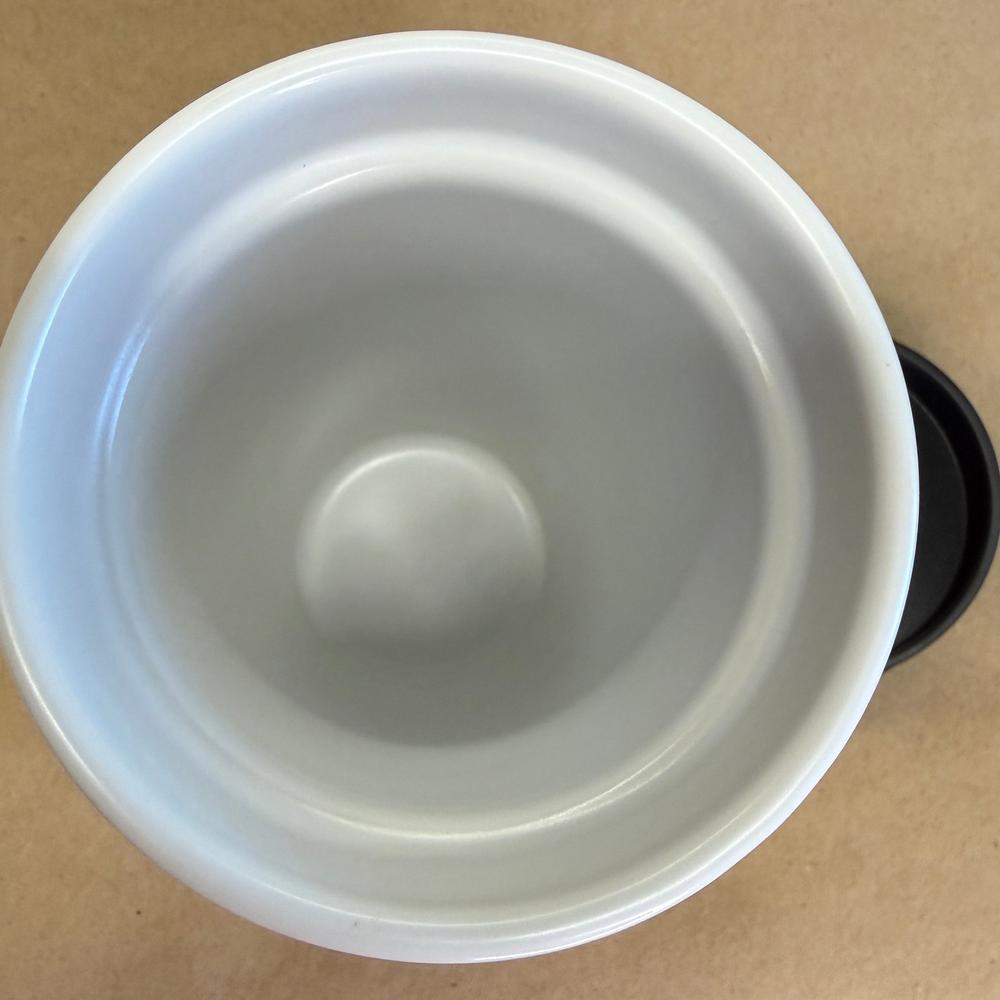 Starbucks Holiday Christmas Bird and Berries Tumbler with Lid-2016