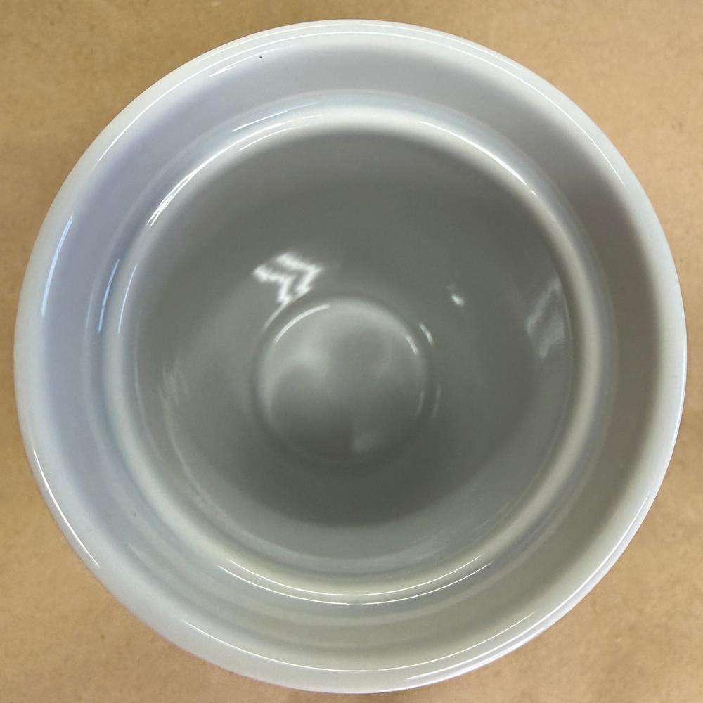 Starbucks Disney Parks Tumbler