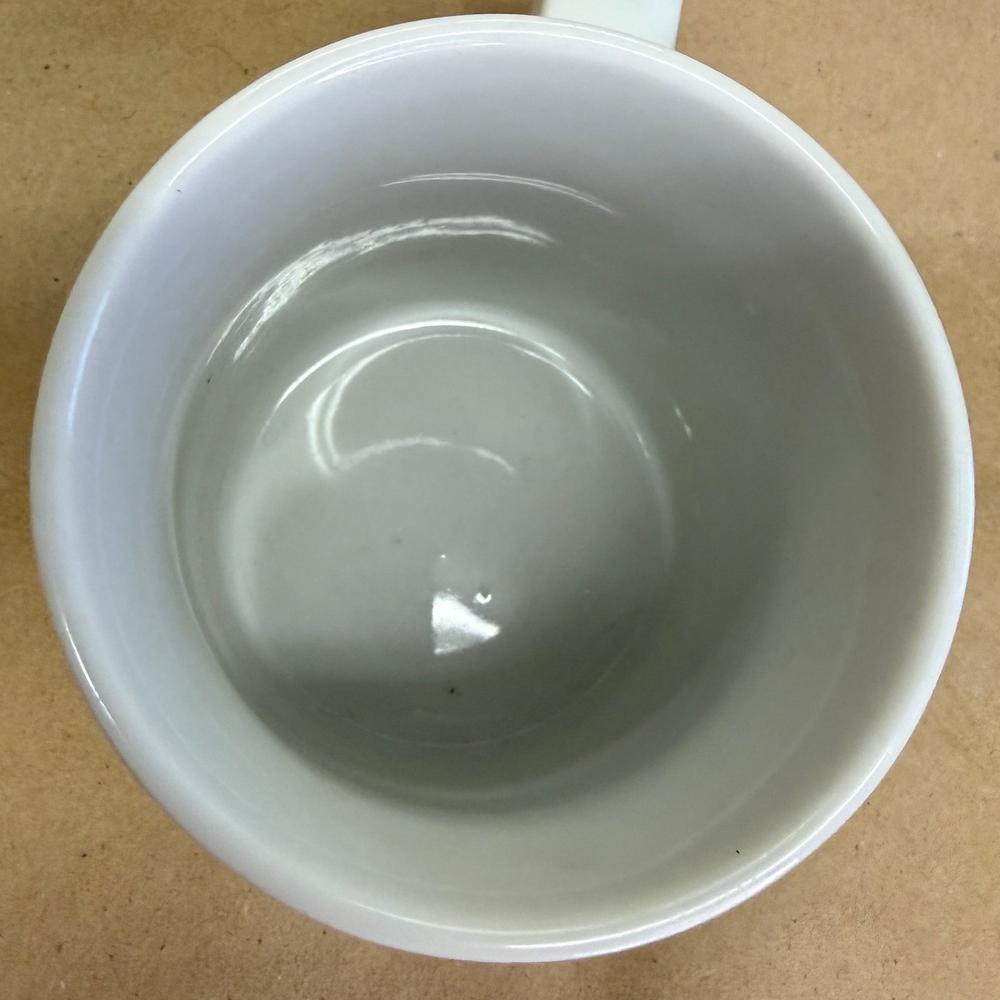 Starbucks Holland America Line Mug