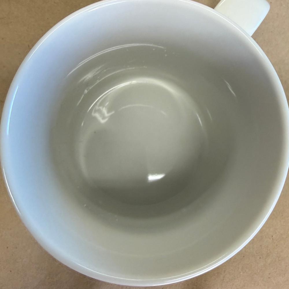 Starbucks City Parks Washington DC Cherry Blossoms Mug-2007