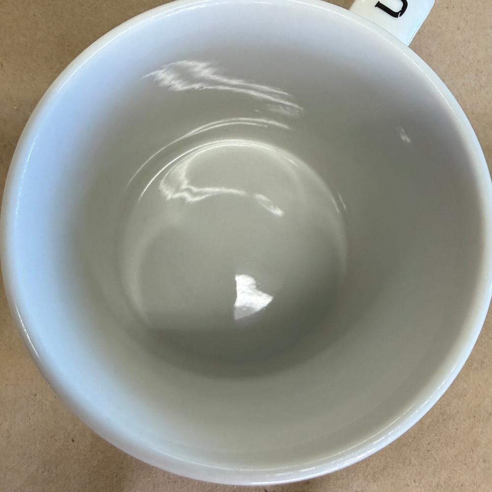 Starbucks Barista Scenic Series Flags Mug-2002