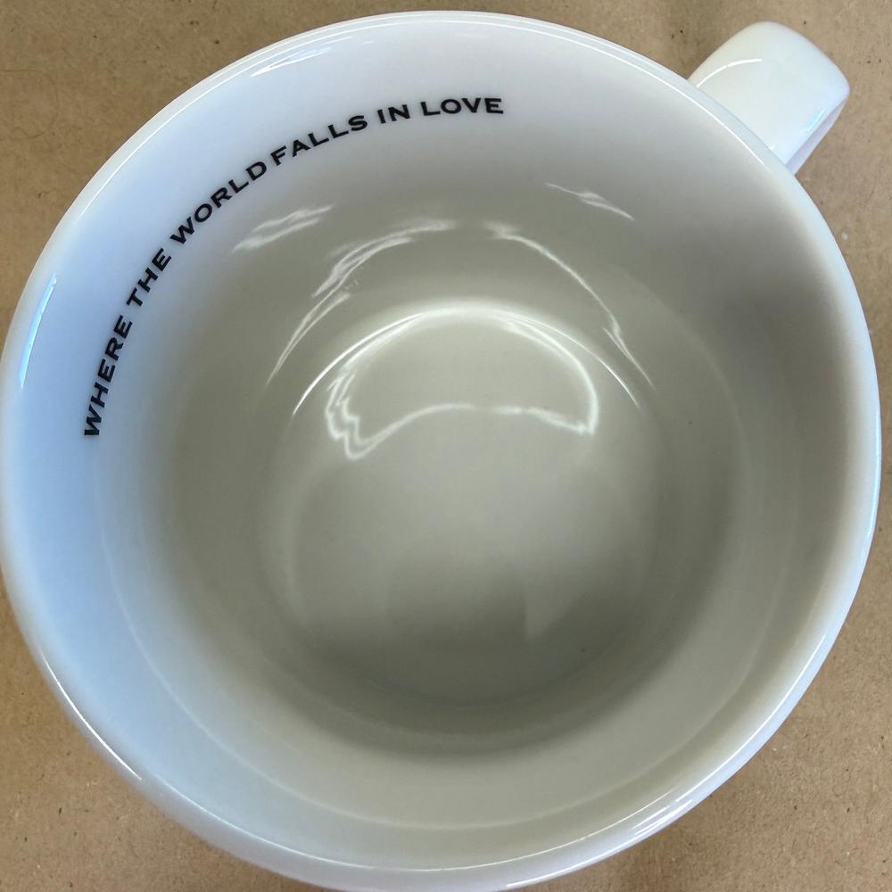 Starbucks Skyline Series One Niagra Falls Mug-2005