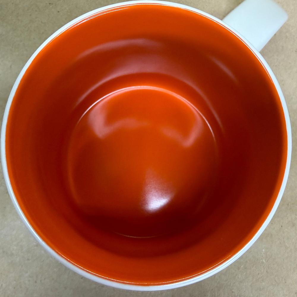 Starbucks Discovery Series Orlando Mug NIB-2024