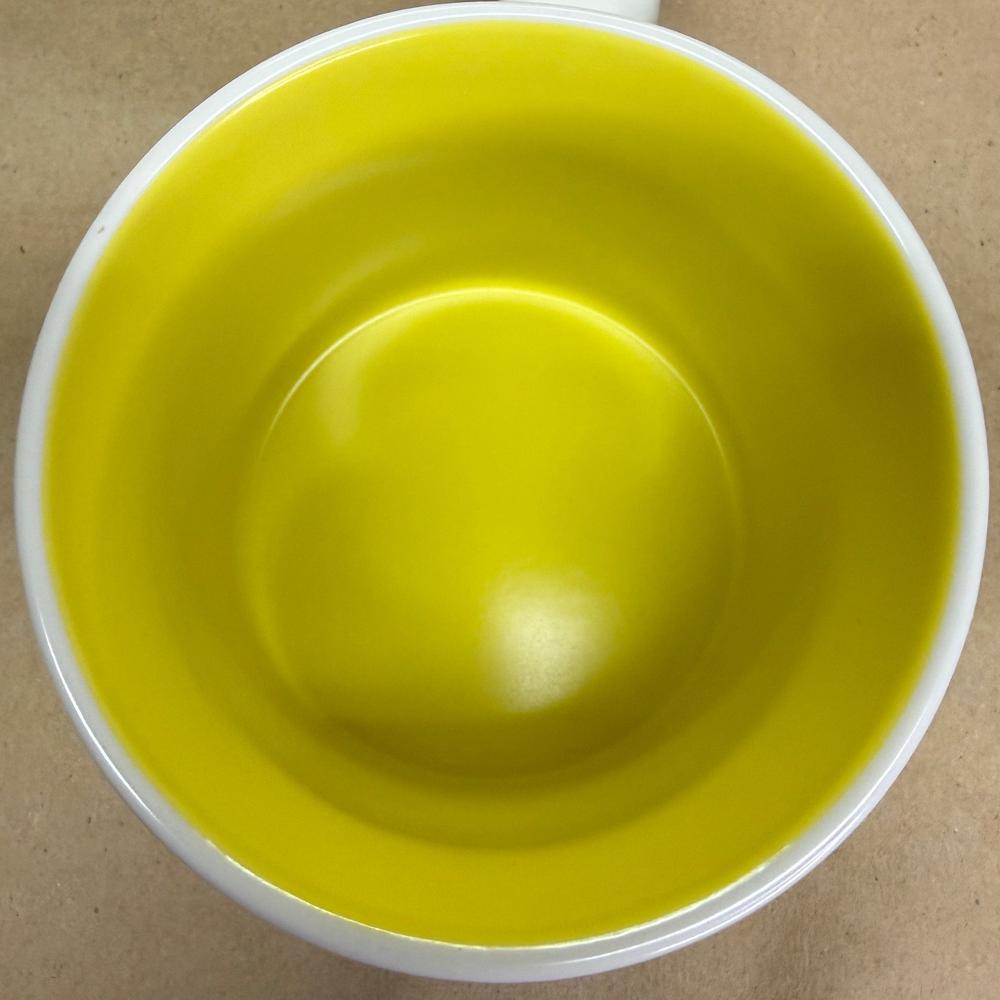 Starbucks Discovery Series Florida Mug NIB-2024