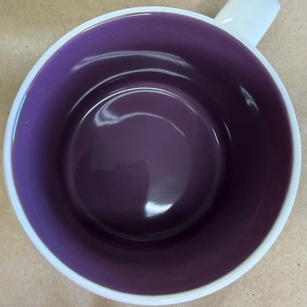 Starbucks You Are Here Disney Parks Magic Kingdom Mug NIB