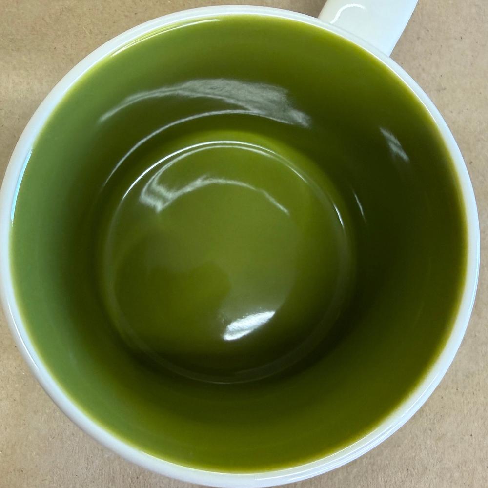 Starbucks You Are Here Disney Parks Magic Kingdom Hippo Mug NIB