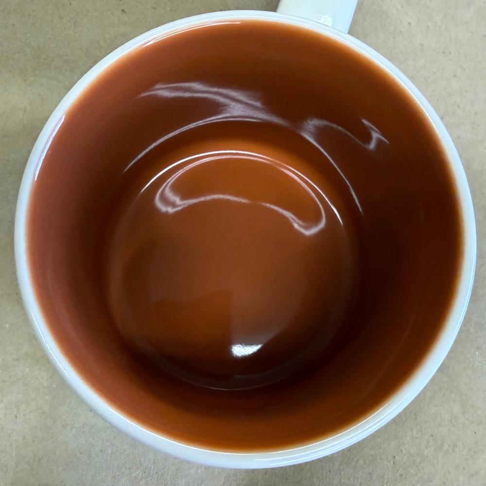 Starbucks You Are Here Disney Parks Animal Kingdom Tiger Mug NIB