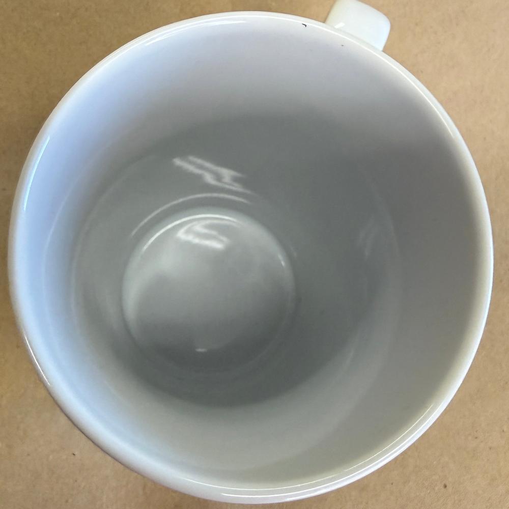 Starbucks Disney's Magic Kingdom 45th Anniversary Mug NIB