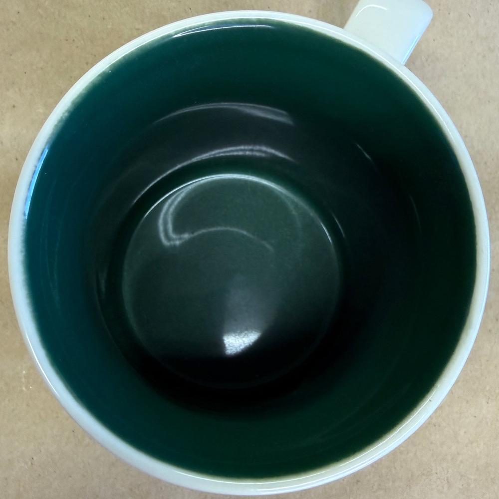 Starbucks Global Icon Collector Series Florida Mug-2011
