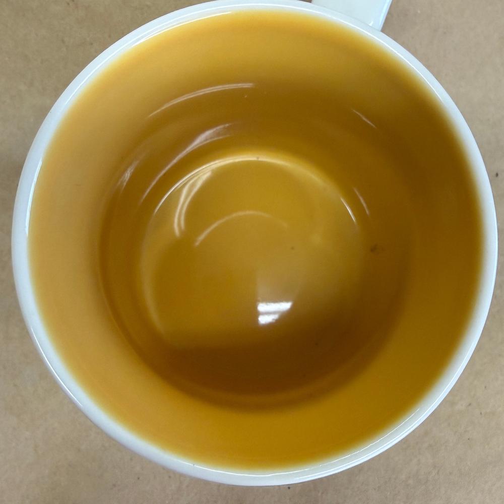 Starbucks Global Icon Leipzig Mug-2010