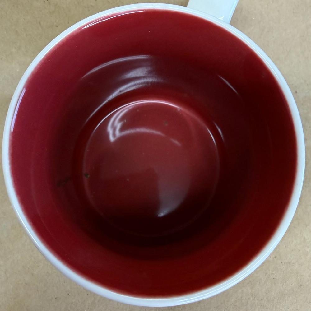 Starbucks Global Icon China Mug-2009