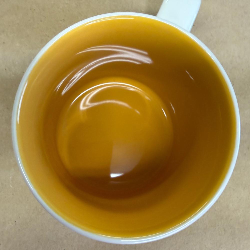 Starbucks Global Icon Mannheim Mug-2013