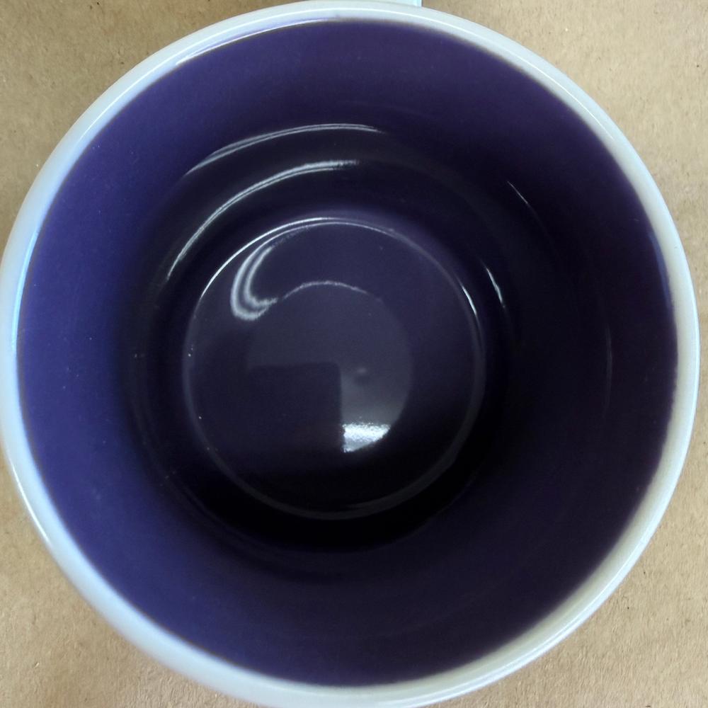 Starbucks Global Icon Rosario Mug-2009