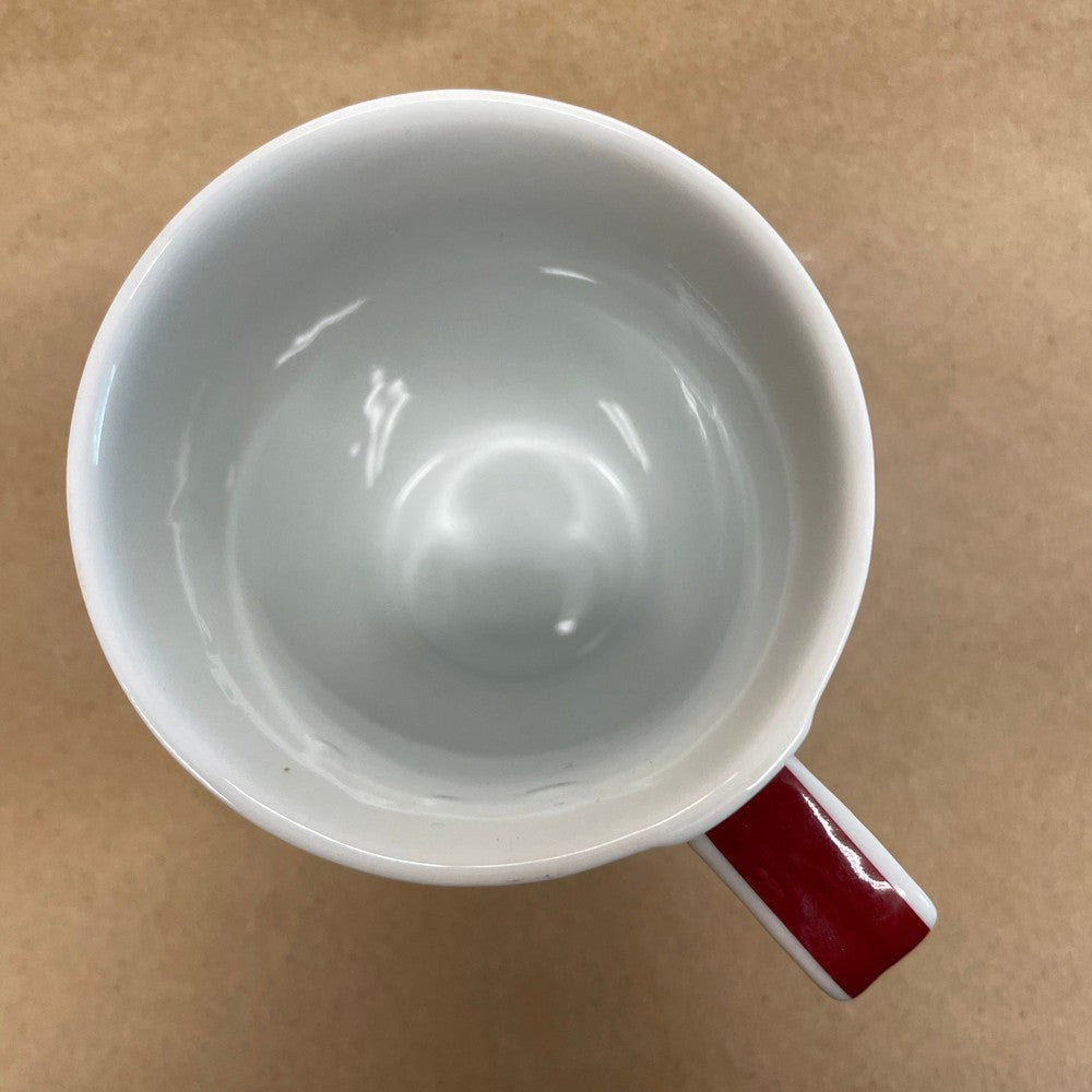 New Zealand Kiwi Bird Mug