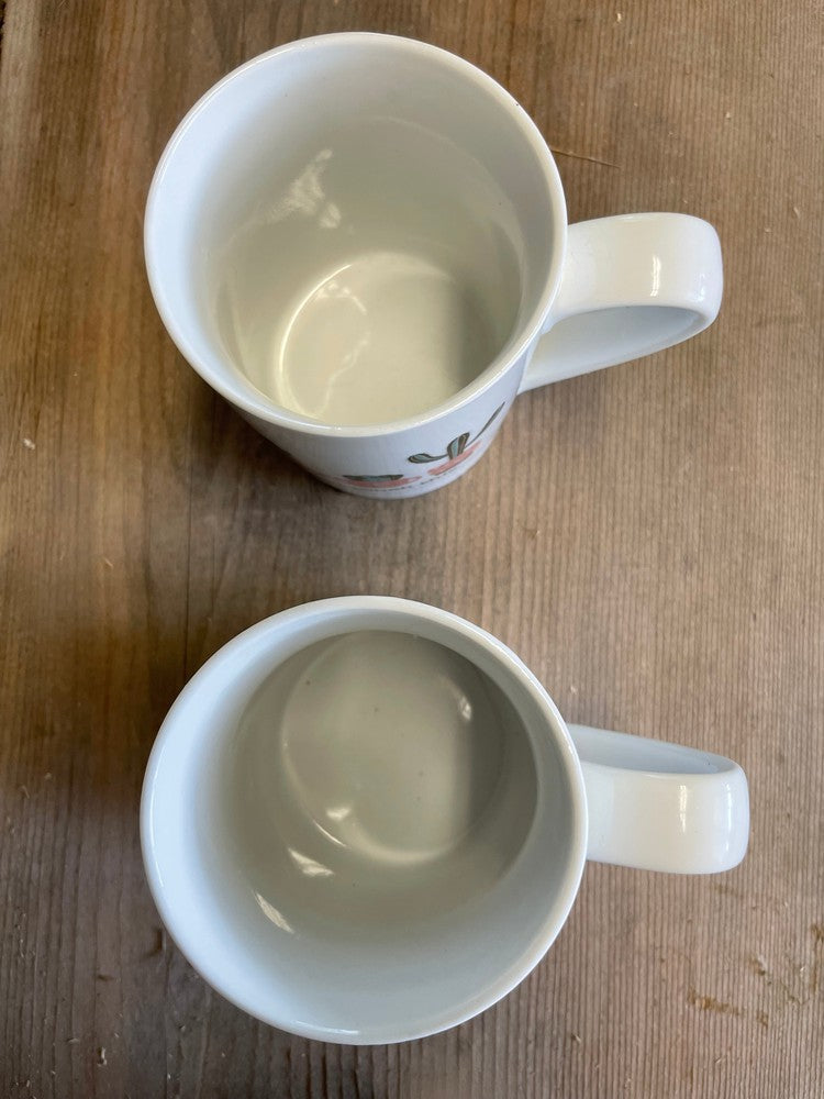 Pair 10 Strawberry Street Can't Touch This-Don't be a Prick Mugs-2019