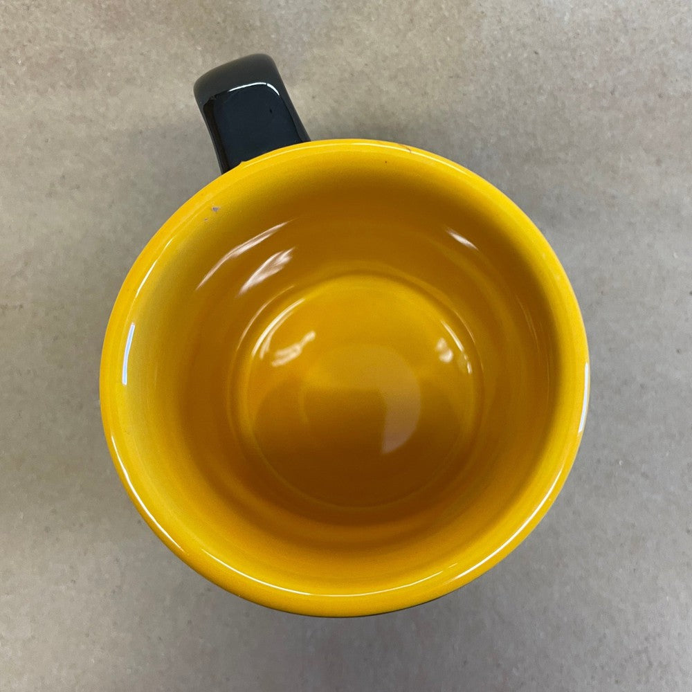 Pittsburgh Steelers Sculpted Mug-2016