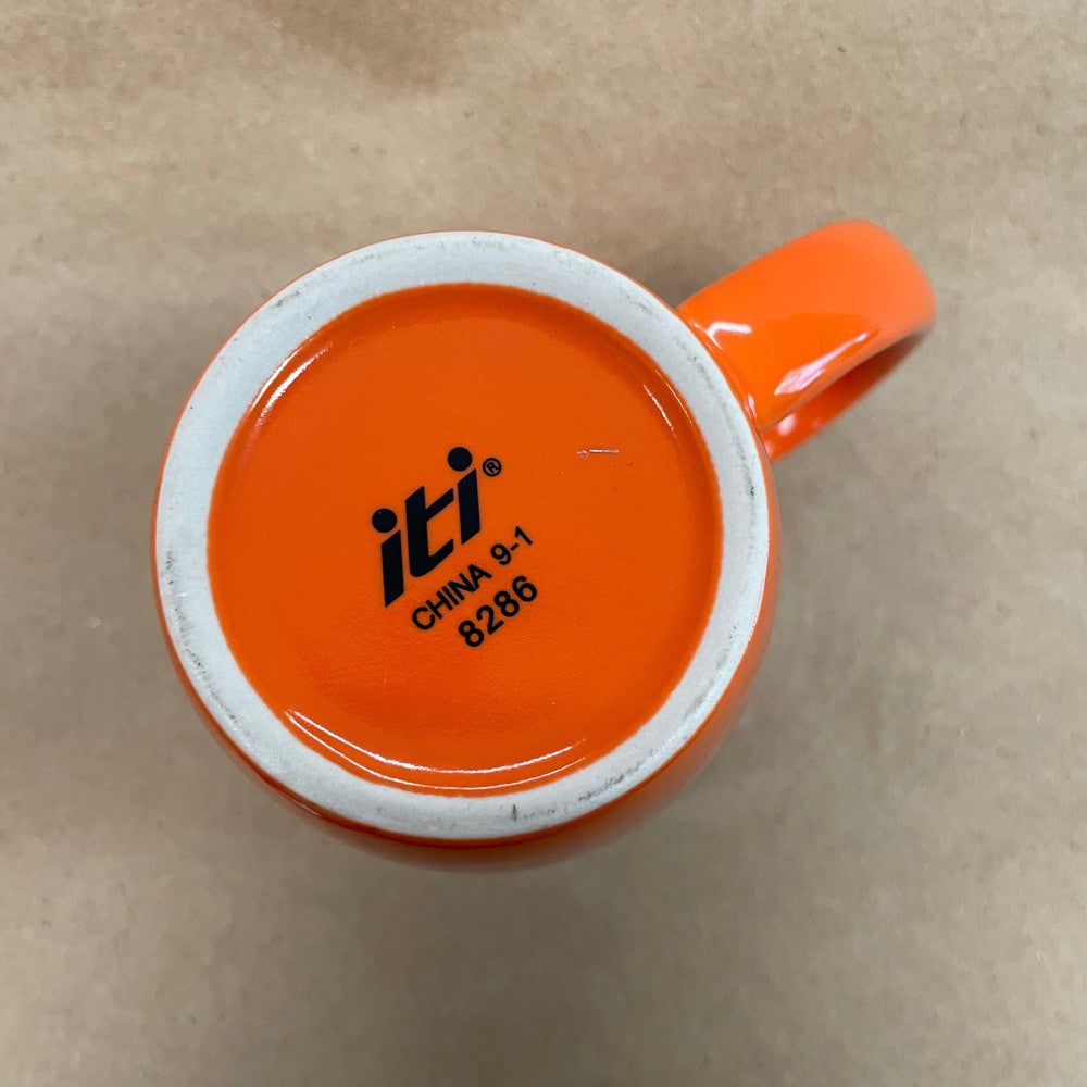 Princeton University Tigers Mug