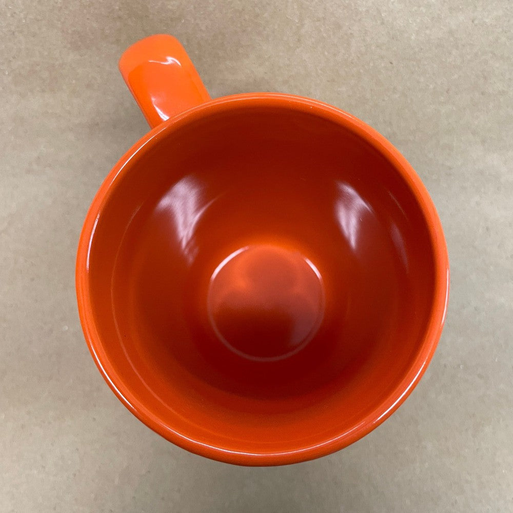 Princeton University Tigers Mug