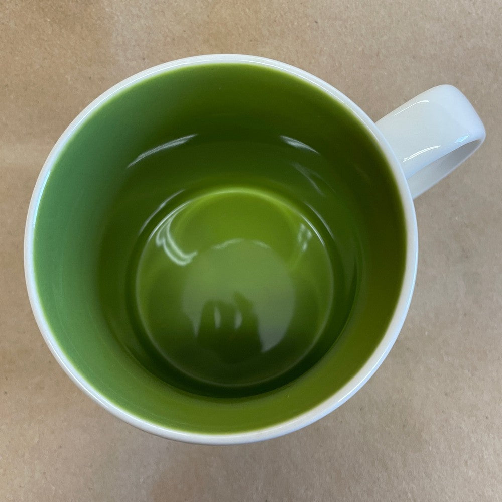 Starbucks Global Icon Collector Series Dublin Mug-2009