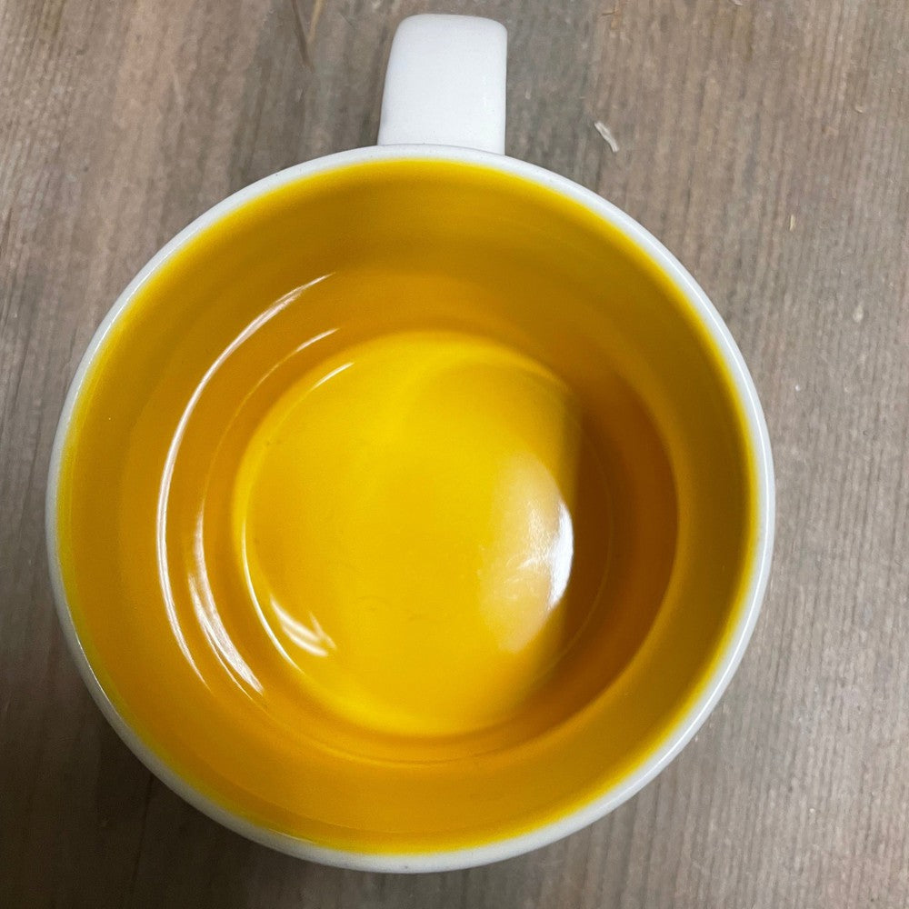 Starbucks You Are Here Series Mug Florida-2014