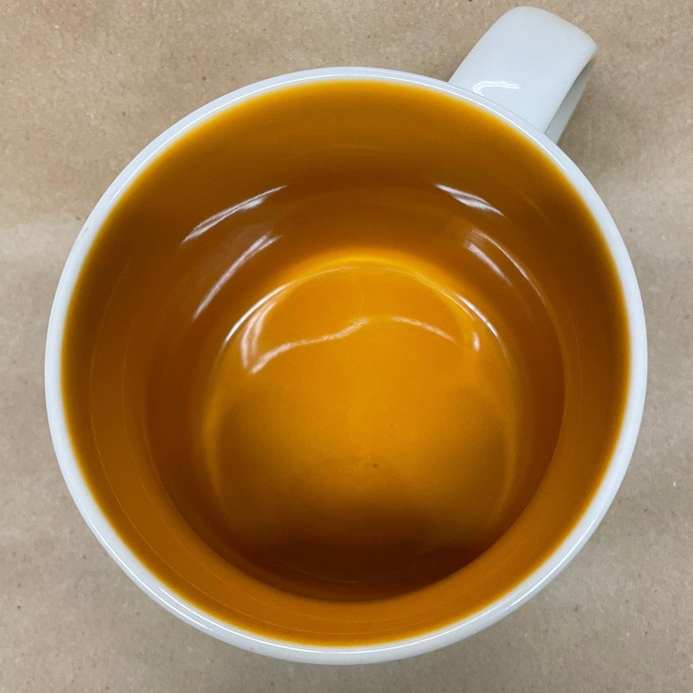 Starbucks You Are Here Series Orlando Mug-2014