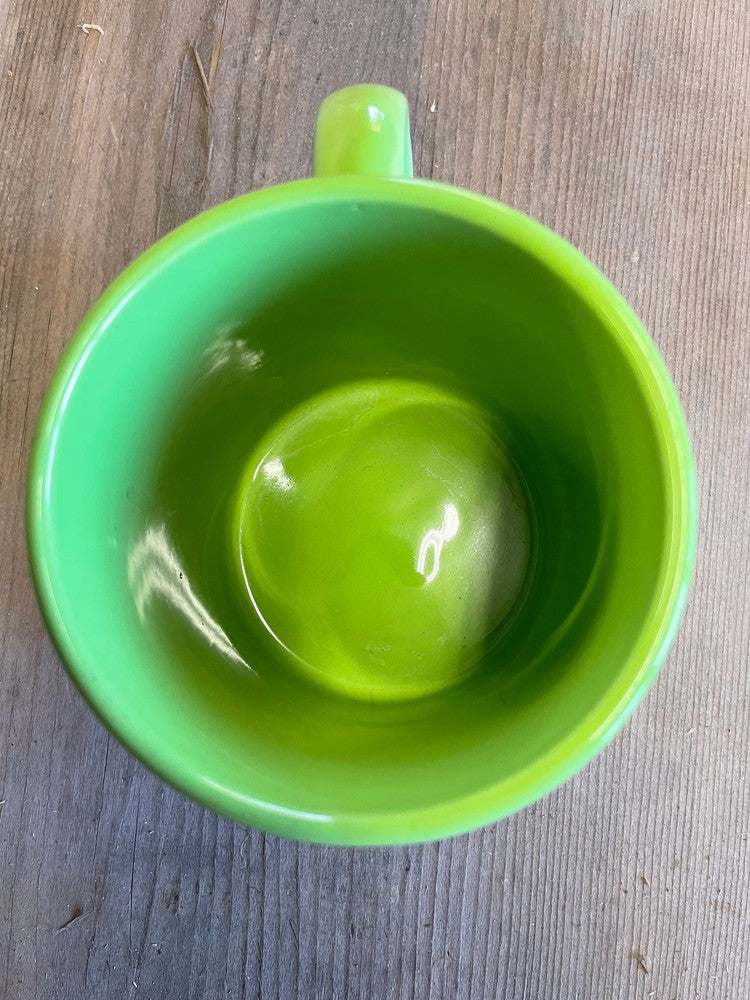 Teenage Mutant Ninga Turtles Mug
