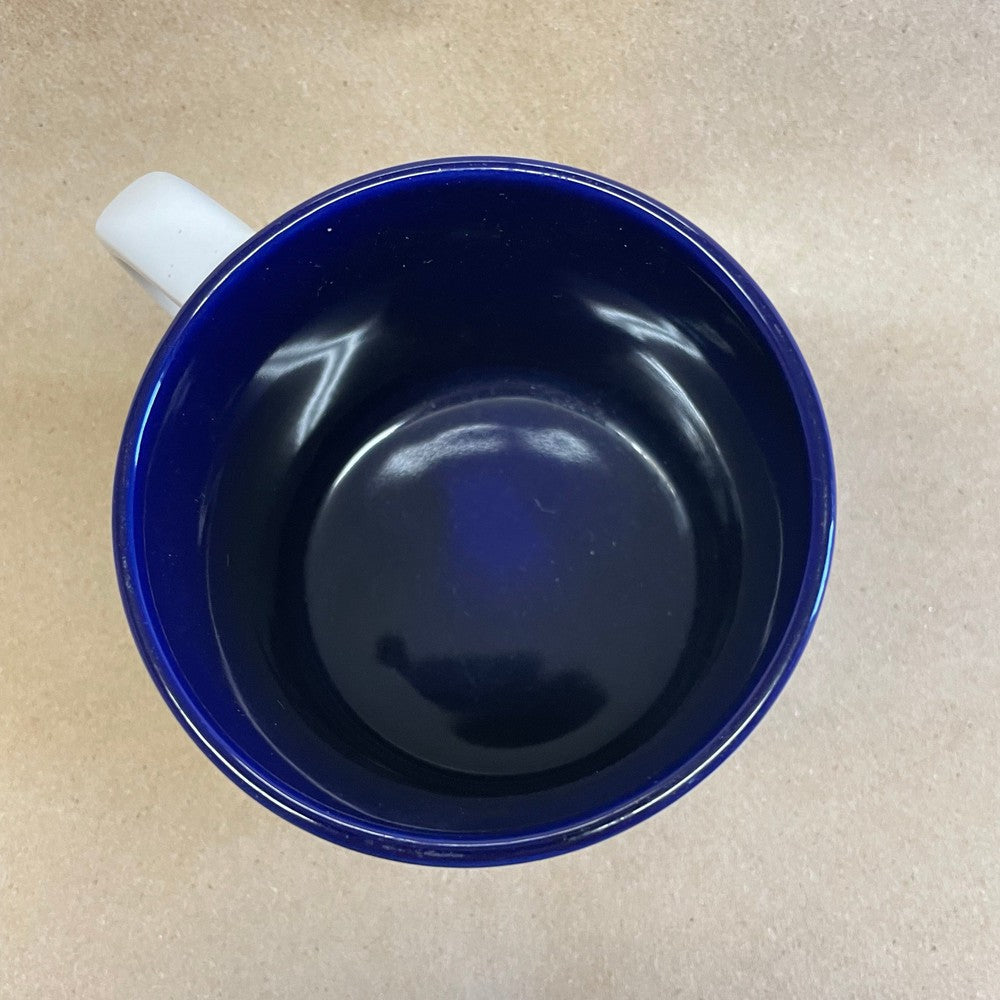 The University of Arizona Dad Mug