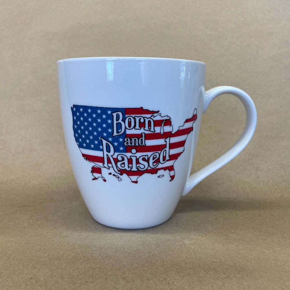 US Flag Born and Raised Mug